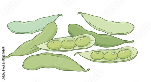 Green peas in pods illustration.