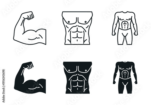 Human body muscle illustrations with various anatomical views