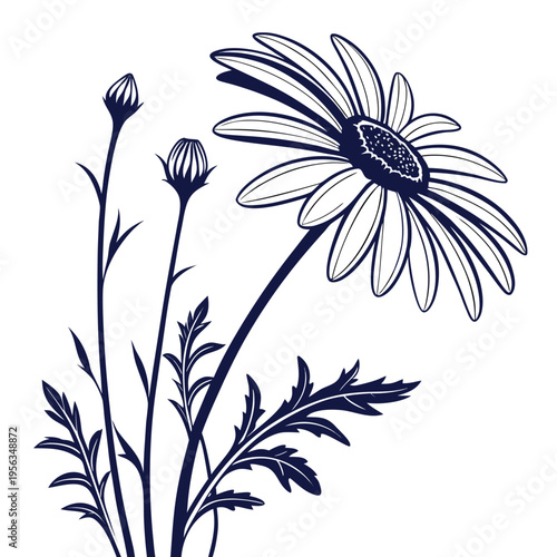Canvas Print oxeye daisy silhouette on white background