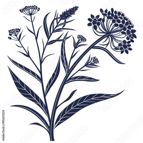 Photos milkweed silhouette on white background