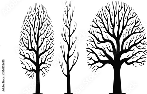 Black silhouette of winter trees with bare branches, set of isolated vector illustrations for nature