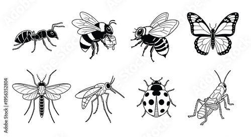 A collection of various insects in a black and white illustration
