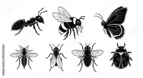 A collection of various insects in a black and white illustration