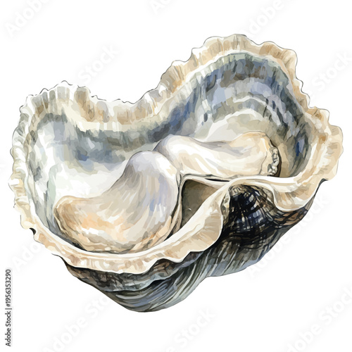 Giant Clam, beautiful watercolor illustration with vivid colors and detailed vector style, isolated on a white background.