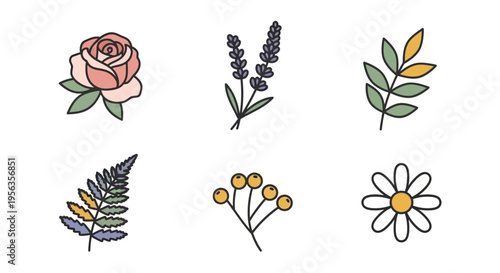 Minimalist botanical line art elements featuring a rose, lavender sprig, leafy branches, fern design, yellow berries sprig and daisy flower, perfect for spring or summer seasonal decorations