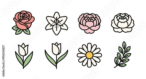 Collection of eight different floral line art illustrations with color and outlines.