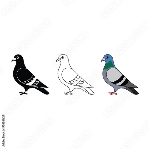 Three pigeons depicted in varying styles silhouette outline and color