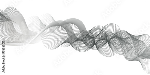 abstract grey wave lines on white background. Abstract frequency sound wave lines and technology curve lines background. Black stripes on a white background. Set of wavy lines. Multiple line waves.