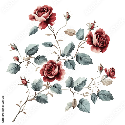 Damask Rose Branch, watercolor vector portraying a joyful pose with colorful highlights, isolated on a white background.