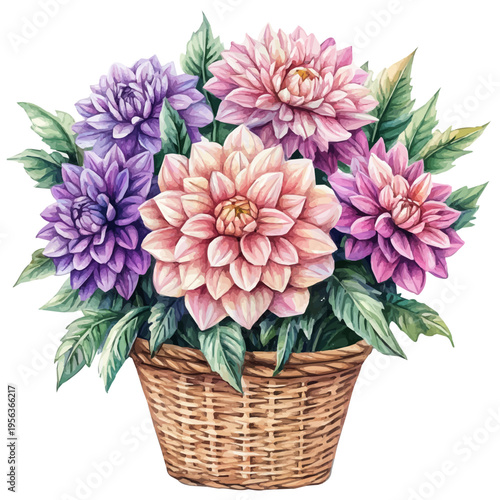 Dahlia Bouquet In A Basket, watercolor clipart showcasing whimsical details and harmonious color flow, isolated on a white background.