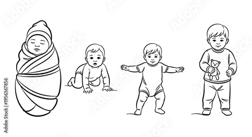 Line art illustration depicting a baby s growth stages from infant to toddler