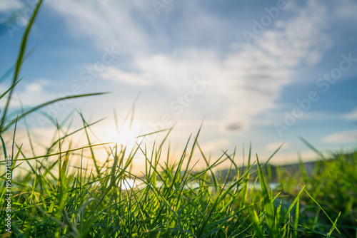 Foto A low angle view of lush green grass in a garden at a resort in Hurghada, Egypt, during a beautiful spring sunset with a soft blue sky