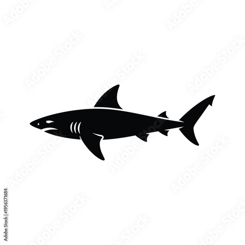 Black shark silhouette on white background fish