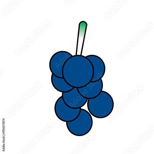 Obraz na plátně bunch of grapes