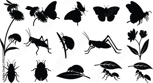Silhouette collection of insects and plants isolated on transparent background