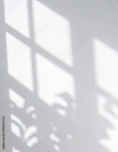 White wall with window grid and leafy plant shadows