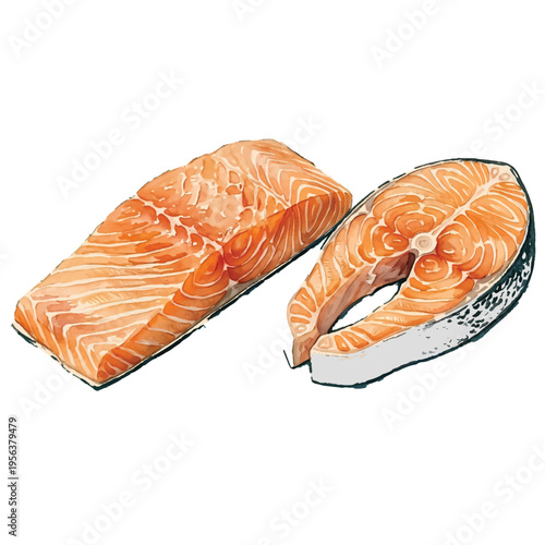 Fresh raw salmon fillet and steak isolated on white background ready for cooking or sushi