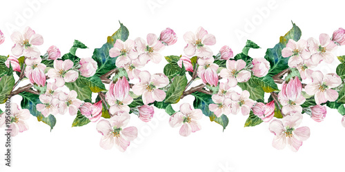 Apple blossom Seamless border, apple tree flowers and leaves, hand-drawn watercolor illustration, apple blossom branches