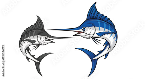 Marlin pair facing each other with sharp bills and distinctive dorsal fins, vector illustration featuring fish, billfish, swordfish with predator and