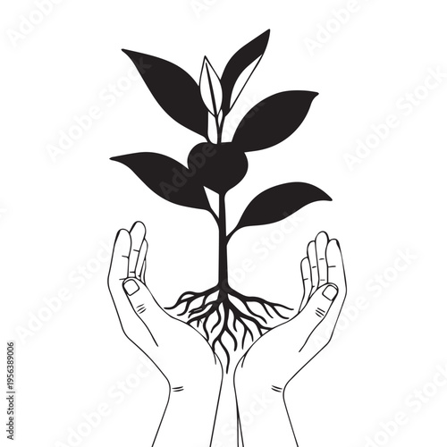 Hands cupping a young plant with visible roots and leaves, concept of growth and care
