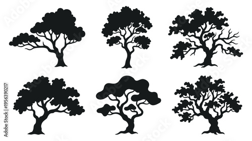Collection of six stylized silhouettes of mature trees with intricate branch structures, perfect for nature and landscape designs