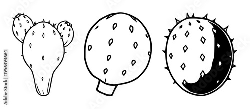 Whole prickly pear cactus fruit set with flat vector icon and bold black borders featuring exotic fruit, cactus, illustration, vector, desert