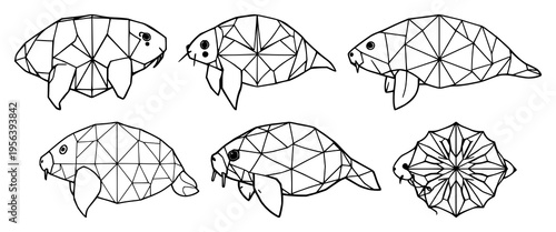 Geometric tardigrade set with symmetrical line art of a microscopic biology theme featuring white background, modern style, detailed limbs with segmented body and clear contours