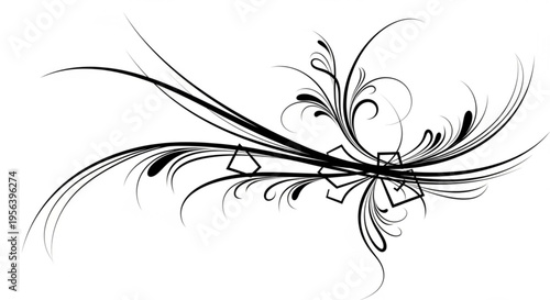 Elegant black floral design with swirling lines and geometric shapes on white background for decoration