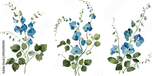 Chinese asian style watercolor painting of blue pea blossom vines, stylized brush strokes transparent vector digital illustration of botanical flowers, floral drawing japanese ink wash gouache graphic
