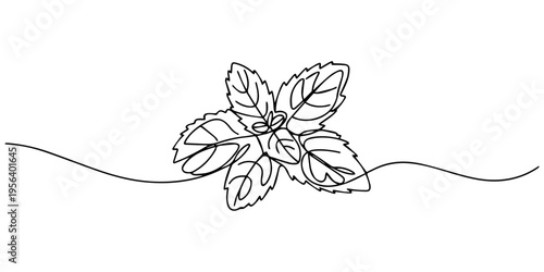 Mint leaf continuous line drawing vector illustration, Vector continuous one single line drawing icon of  fresh garden mint leaves in silhouette sketch on white background. Linear stylized. minimalist