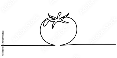 Minimalist one line drawing of a fresh organic tomato vegetable on white background, Continuous one line drawing of a single fresh tomato vegetable on white background Vector, illustration. A whole an