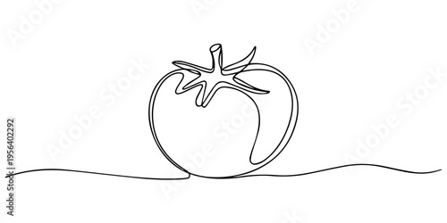 Minimalist one line drawing of a fresh organic tomato vegetable on white background, Continuous one line drawing of a single fresh tomato vegetable on white background Vector, illustration. A whole an