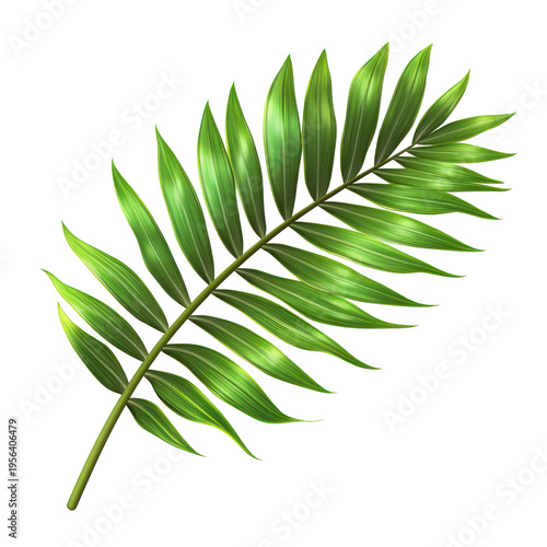 A vibrant green leaf on a transparent background