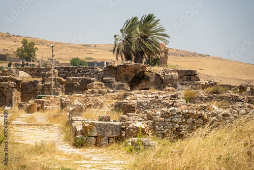 Palm tree growing in the ruins of Bulla Regia, outside of Jendouba, Tunisia