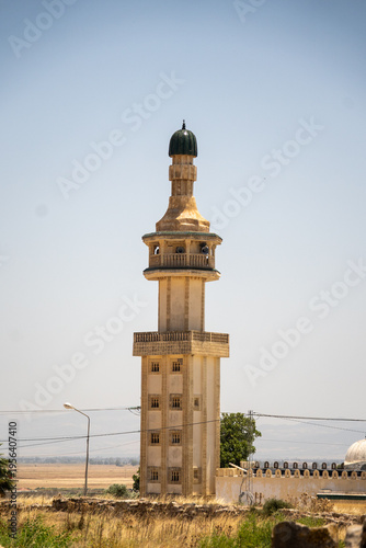 Minaret from a mosque in a nearby village visible above the ruins of Bulla Regia, outside of Jendouba, Tunisia