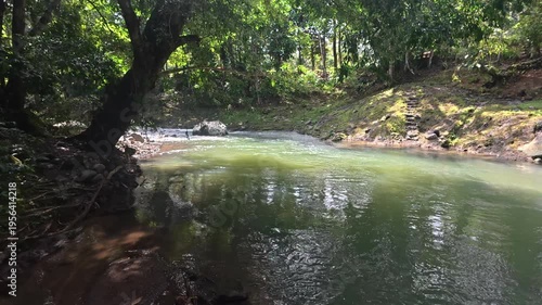 Wild nature, green water and trees