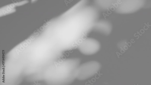 Summer concept the motion of leaves sunlight natural shadow overlay on white texture background, for overlay on product presentation, backdrop and mockup