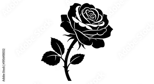 Elegant Black Rose Illustration - A Symbol of Love and Beauty