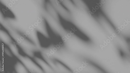 Summer concept the motion of leaves sunlight natural shadow overlay on white texture background, for overlay on product presentation, backdrop and mockup