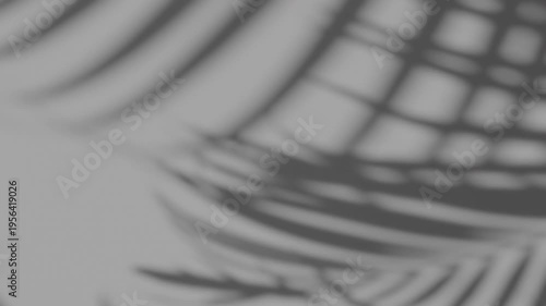 Summer concept the motion of leaves sunlight natural shadow overlay on white texture background, for overlay on product presentation, backdrop and mockup