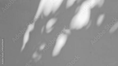 Summer concept the motion of leaves sunlight natural shadow overlay on white texture background, for overlay on product presentation, backdrop and mockup