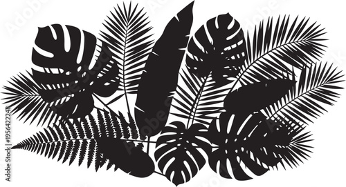 pure black silhouette on pure white background of tropical leaves