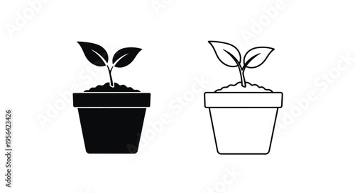 Two potted plant seedlings in black and white showing different styles