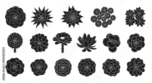 Hand Drawn Succulent Plant Silhouette Bundle, Top View Desert Cactus Flower Black Glyph Icon Vector Set