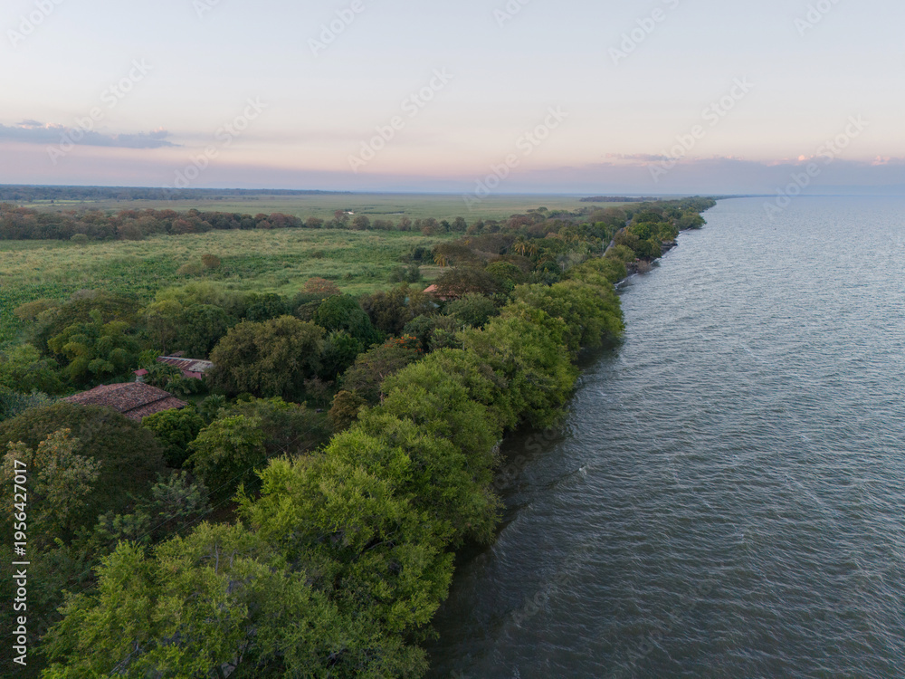 Fototapeta premium Green trees on lake shore