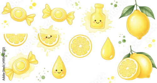 Vector Illustration Cute Limoncello and Lemon Citrus Illustration Set