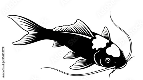 Black and White Koi Fish Illustration, Japanese Carp, Elegant Aquatic Animal
