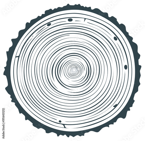 Tree cross section illustration showing wood grain, circles and texture. Nature or growth concept.
