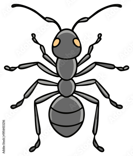 Illustration of a common black ant with six legs antennae and segmented body viewed from above