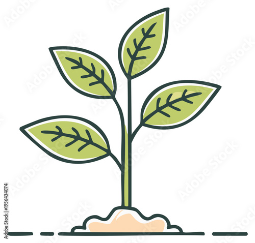 Green seedling growing from soil representing growth and new beginnings in nature
